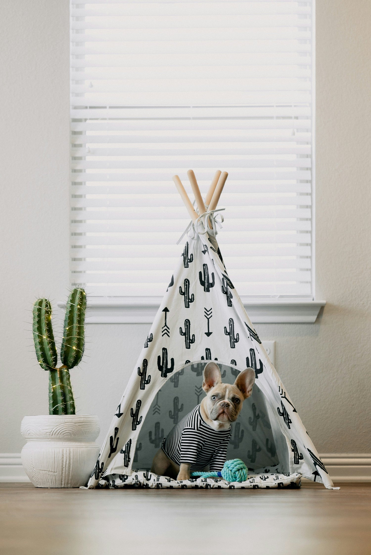 Dog Houses