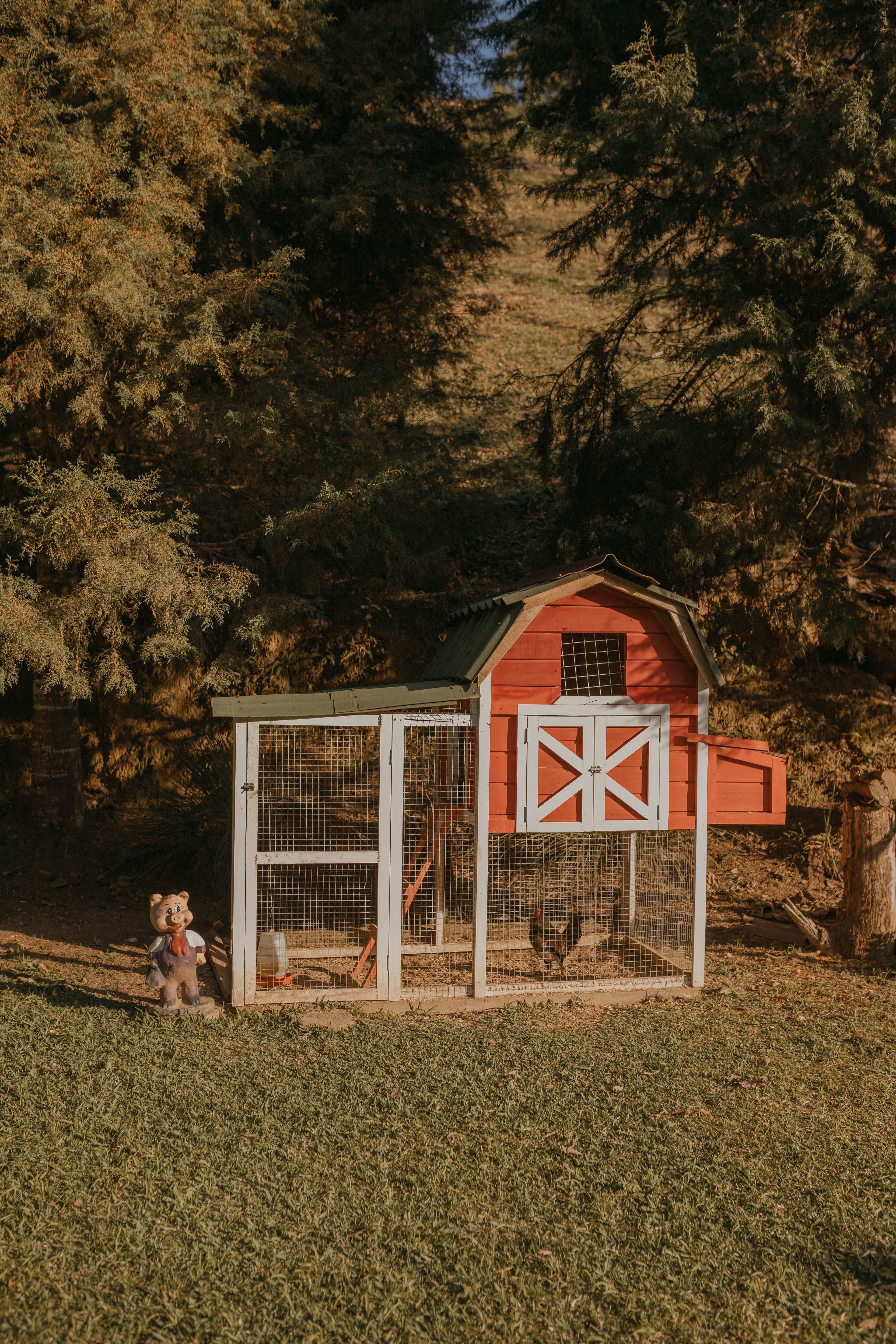 Chicken Coop Image