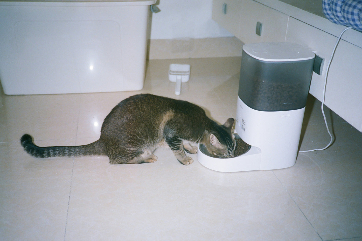 Automatic Cat Feeders