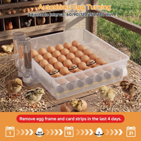 Automatic Egg Incubator – 36-Egg Digital Hatcher with Humidity Control & Candler
