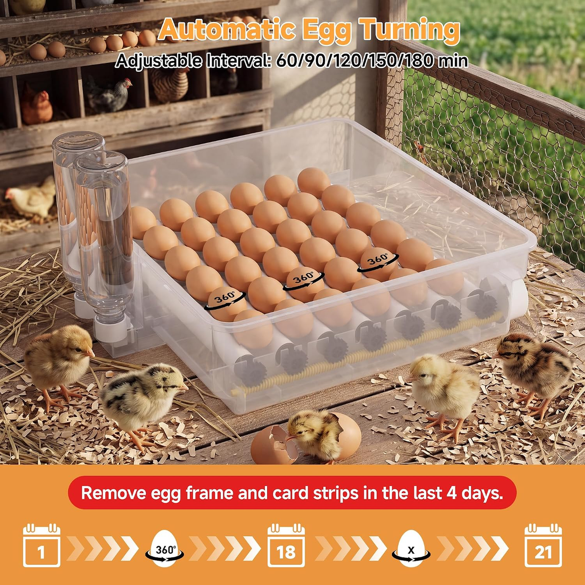 Automatic Egg Incubator – 36-Egg Digital Hatcher with Humidity Control & Candler