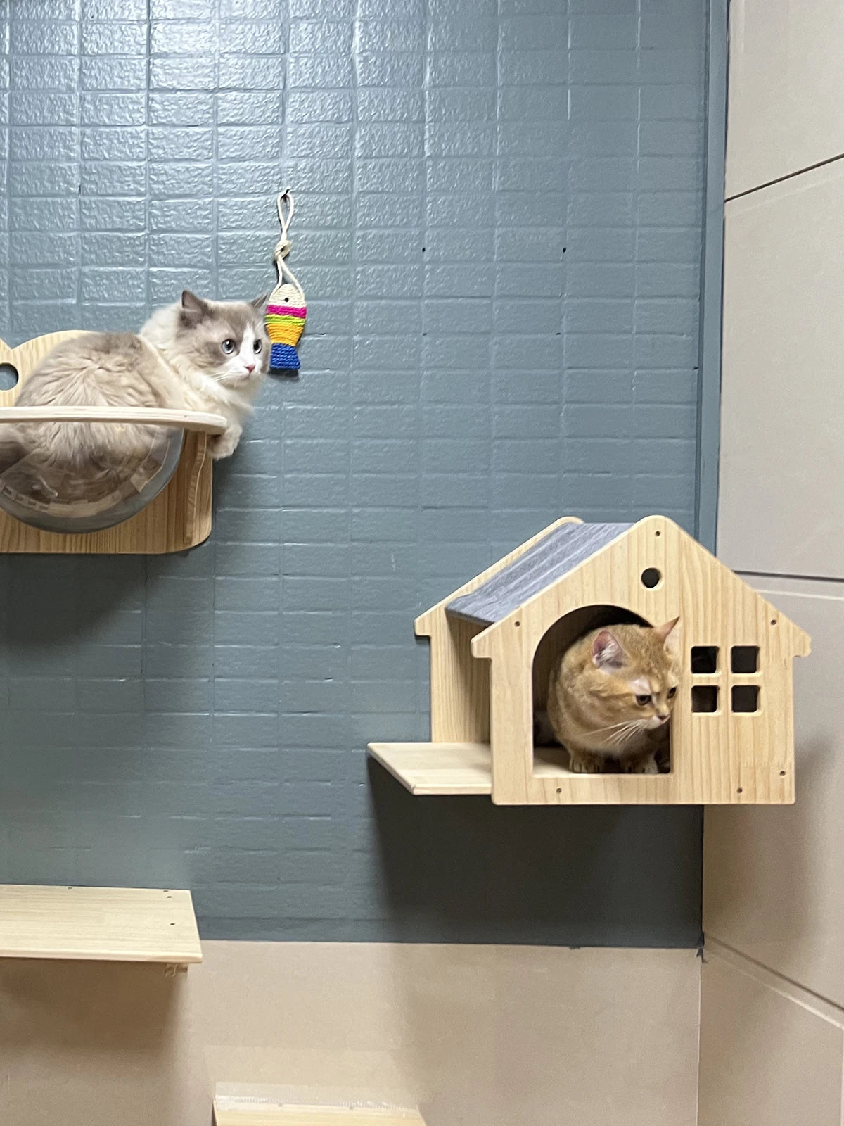Cat Wall Shelves Climbing System, House & Bridge Set for Indoor Cats
