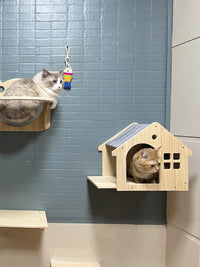 Cat Wall Shelves Climbing System, House & Bridge Set for Indoor Cats
