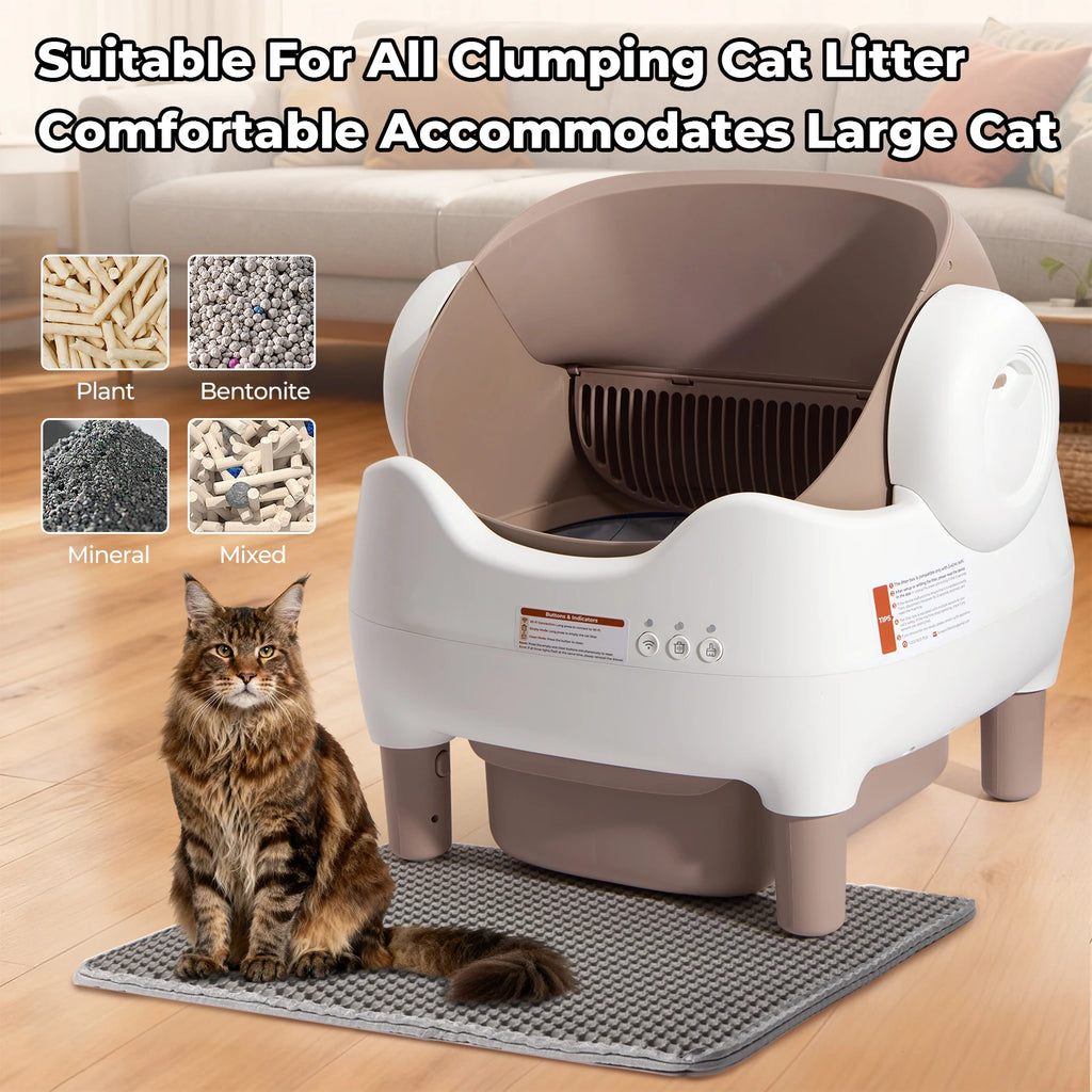 Automatic Litter Box 10L, Self-Cleaning Open-Top with App Control & Ultra-Quiet Motor
