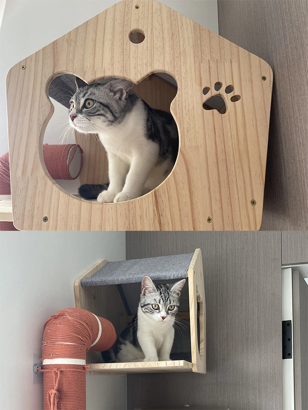 Cat Wall Shelves Climbing System, House & Bridge Set for Indoor Cats