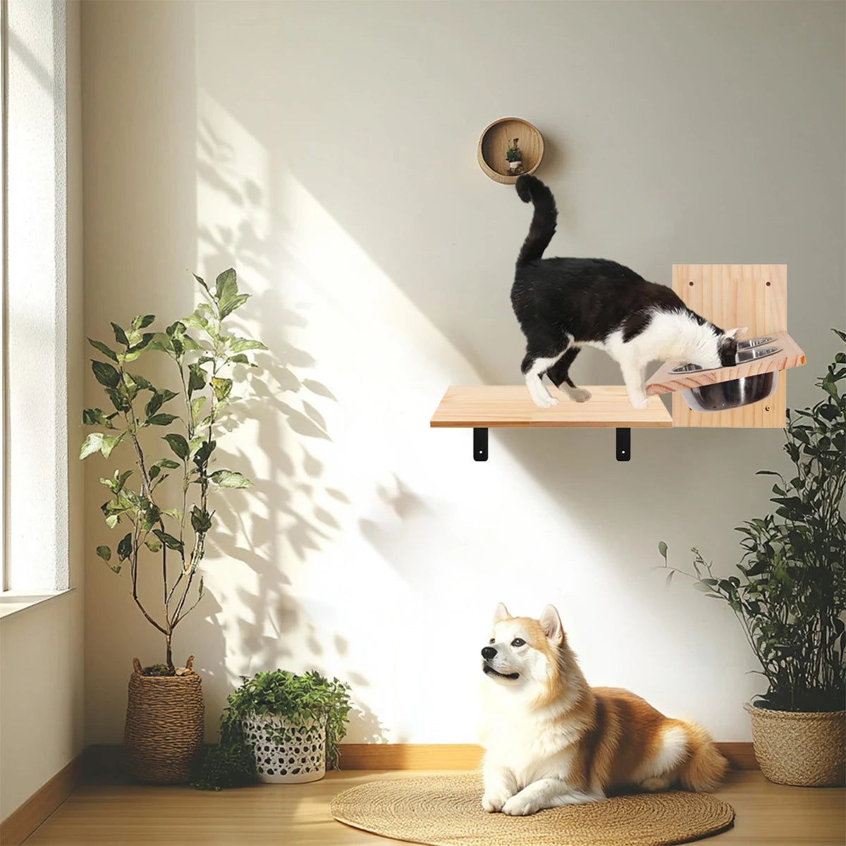 Cat Wall Shelves 15.7" x 9.8", with Removable Feeding Station & 2 Steel Bowls