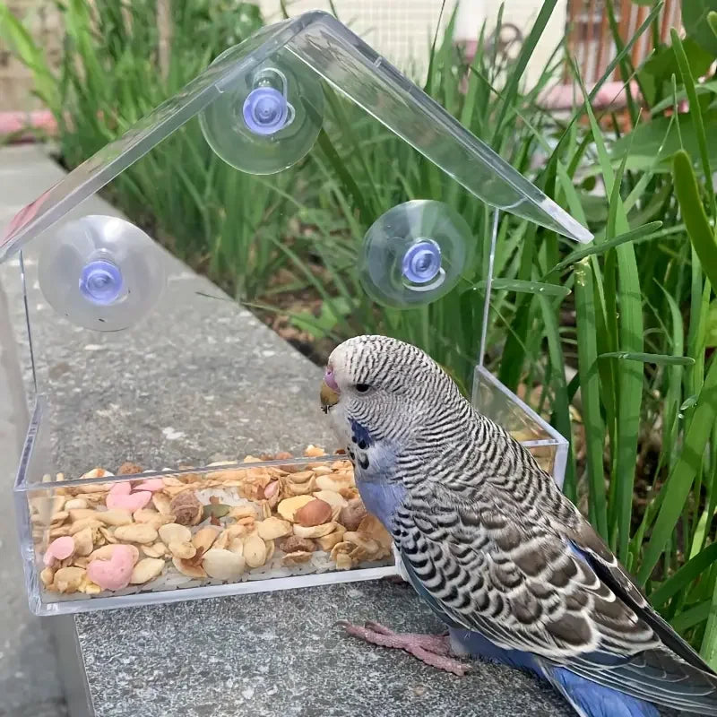 Bird Feeder for Windows 5.9", Clear Acrylic House with 3 Strong Suction Cups