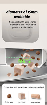 Automatic Cat Feeder 8L with 1080P Camera, Night Vision, Motion Alerts & Dual Bowl Option