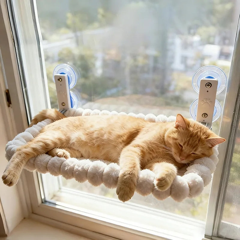 Cat Window Perch 19.7" Oval, Suction Cup Mount with Plush Bumper Rim