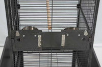 Play-Top Bird Cage 61" for Parrots, with Perch, Ladder, Stainless Feeder Cups, Anti-Splash Skirt & Rolling Stand