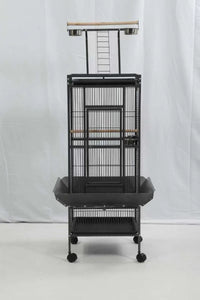 Play-Top Bird Cage 61" for Parrots, with Perch, Ladder, Stainless Feeder Cups, Anti-Splash Skirt & Rolling Stand