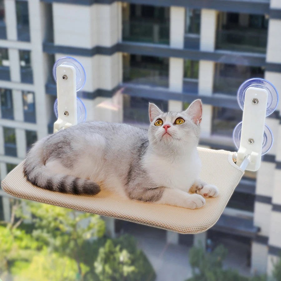 Cat Window Perch 17.7" x 11.8", Foldable with 4 Suction Cups & Breathable Mesh