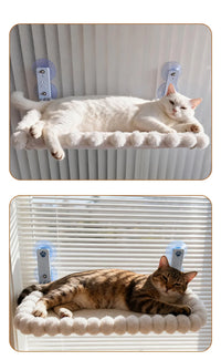 Cat Window Perch 19.7" Oval, Suction Cup Mount with Plush Bumper Rim