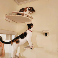 Cat Wall Shelves Corner Set, 12.4" Curved Perch with 3 Steps & Hammock
