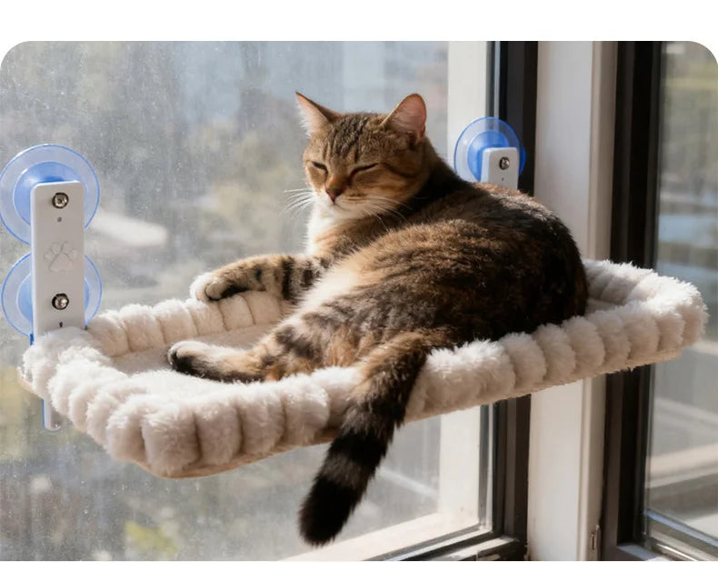 Cat Window Perch 19.7" Oval, Suction Cup Mount with Plush Bumper Rim